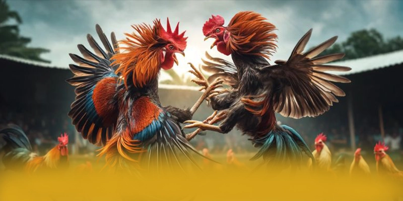 W88 - Sảnh game ổn định hiện nay W88 - Sảnh game ổn định hiện nay
