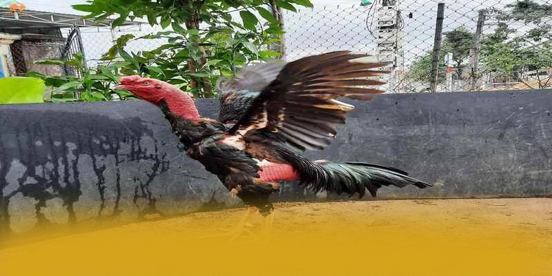 Hệ thống tư vấn viên tại 8XBET Hệ thống tư vấn viên tại 8XBET