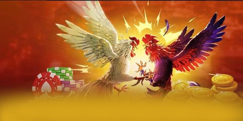 BET168 - Cổng cá cược chuyên nghiệp hiện nay BET168 - Cổng cá cược chuyên nghiệp hiện nay